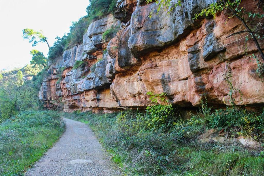 Апартаменти El Raco Al Riu De Montserrat Monistrol de Montserrat Екстер'єр фото